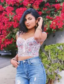 Vidya Vox