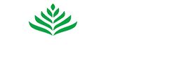 Organic India Logo
