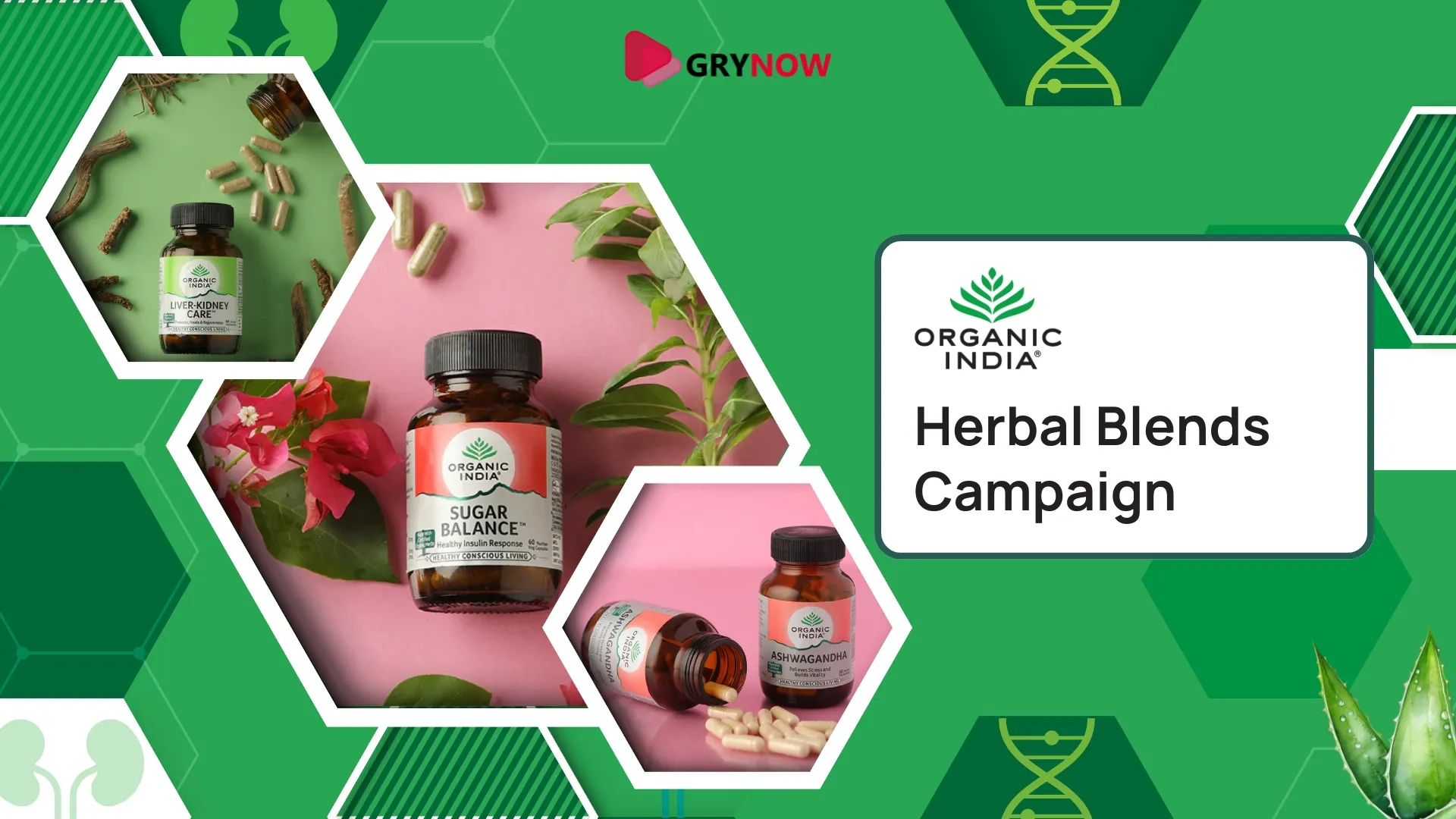 Organic India Herbal Blends Campaign